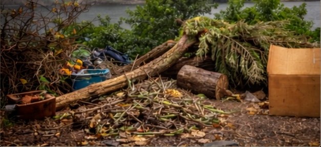 Yard debris removal service